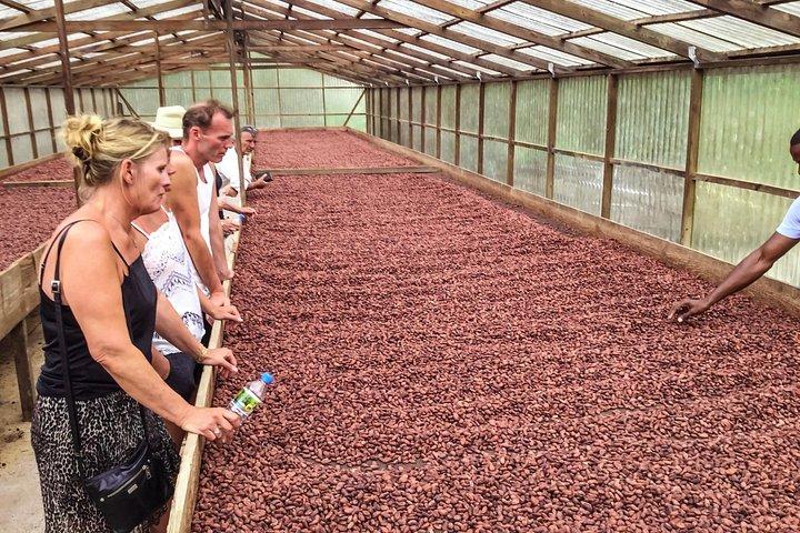 Grenada Spice Gardens, Rum & Chocolate Tour (Full/Half Day)