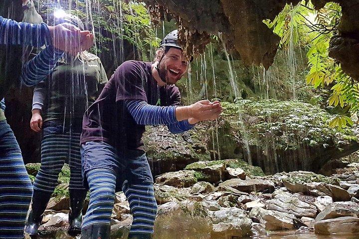 Waitomo’s Hidden Gem : Abseits der ausgetretenen Pfade Glühwürmchenhöhle Tour