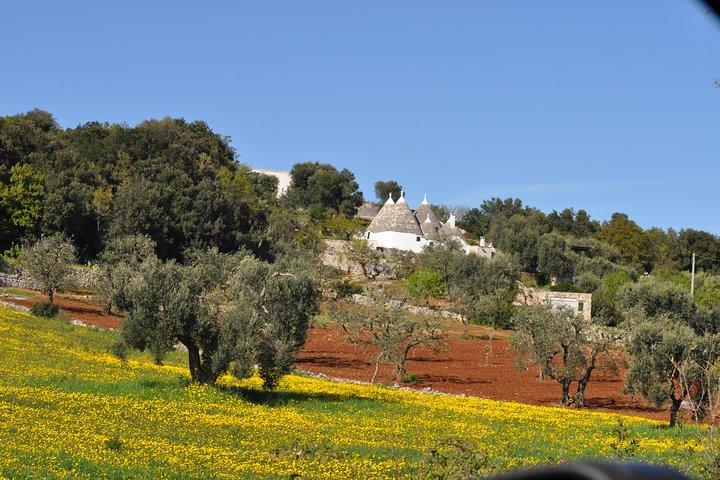 Dagstur i Bari, Alberobello, Matera