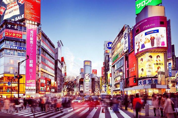 Osaka Privat Transfer von Osaka zentral zum Flughafen Itami (ITM)