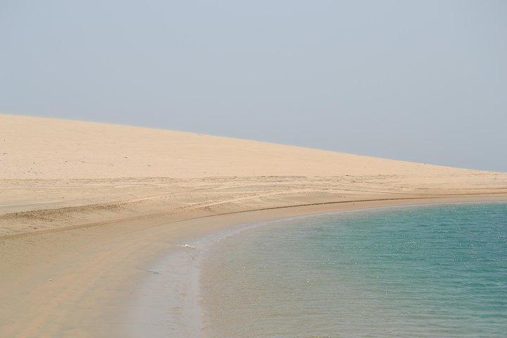 Doha: Safari nel deserto, quad, cammelli, sandboard e mare interno