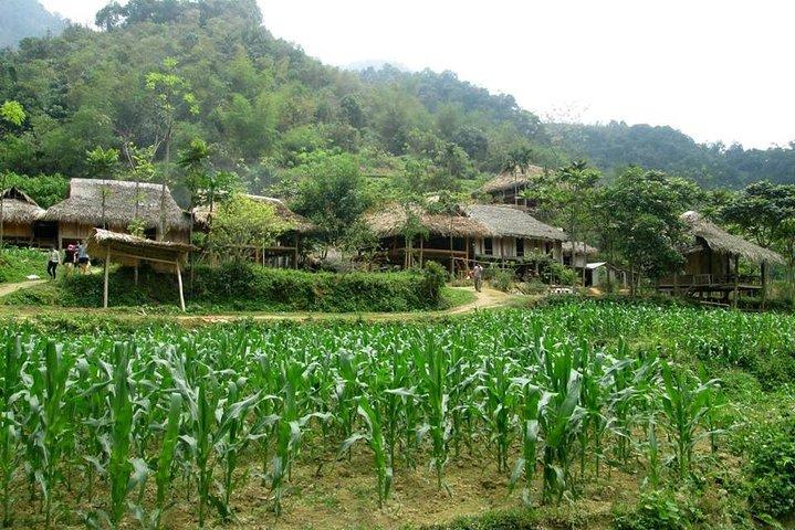 Explore Pu Luong Nature Reserve 2 days 1 night from Hanoi