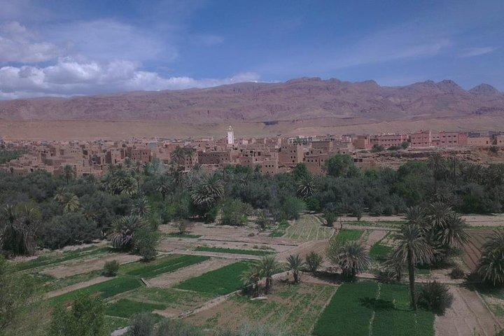 Tour nel deserto condiviso di gruppo da Marrakech a Fes 3 giorni
