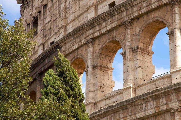 Tour privado posterior al crucero desde el puerto de Civitavecchia a Roma