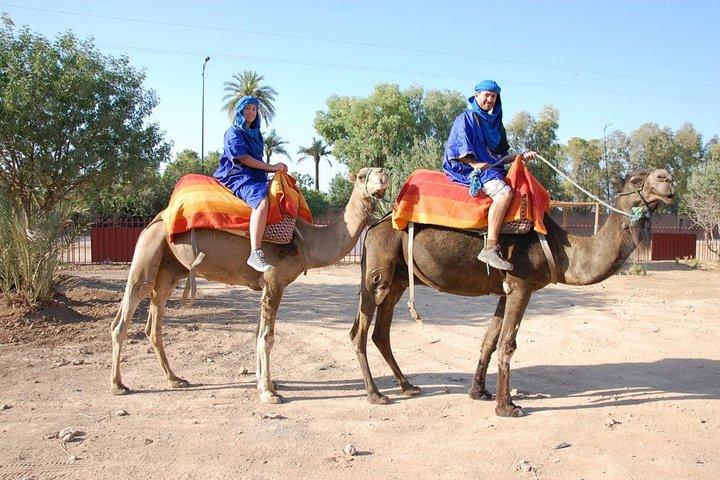 Marrakech Camel Ride Tour