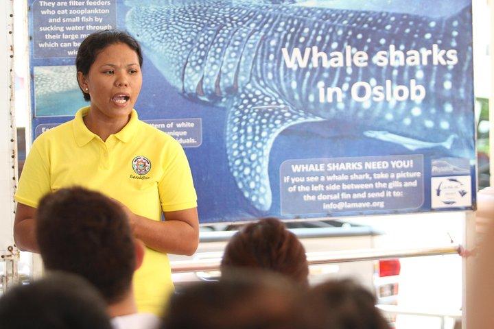 Whale Shark Swimming Experience en Aguinid Falls uit Cebu