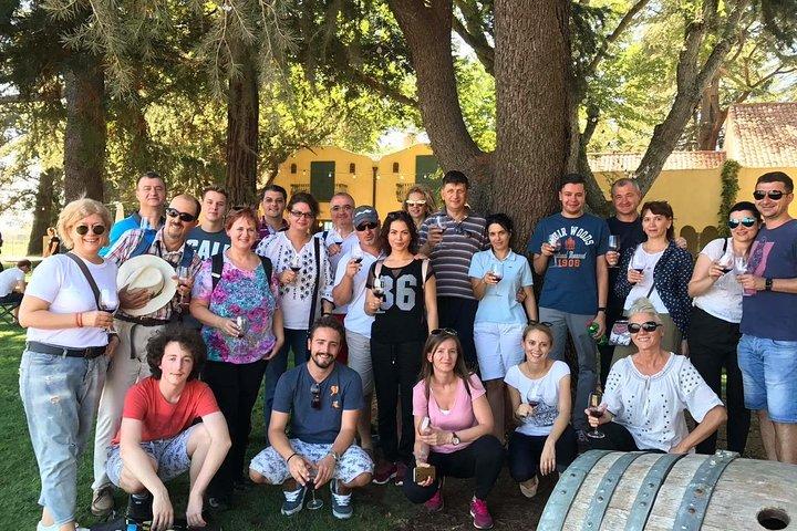 From San Francisco: Napa and Sonoma Full-Day Curated Wine Tour