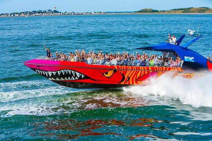 Giro in barca ad alta velocità di Boston Codzilla