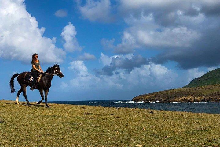 Privat strandridning med Sandy Hoofs St Lucia