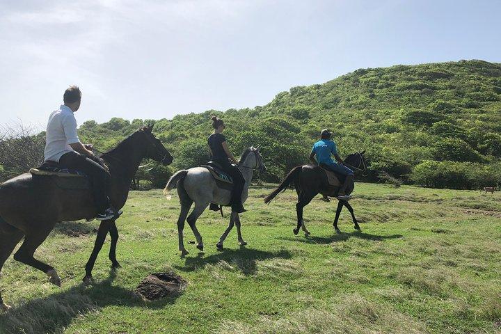 Privat avancerad strandtur på hästryggen med Sandy Hoofs St. Lucia