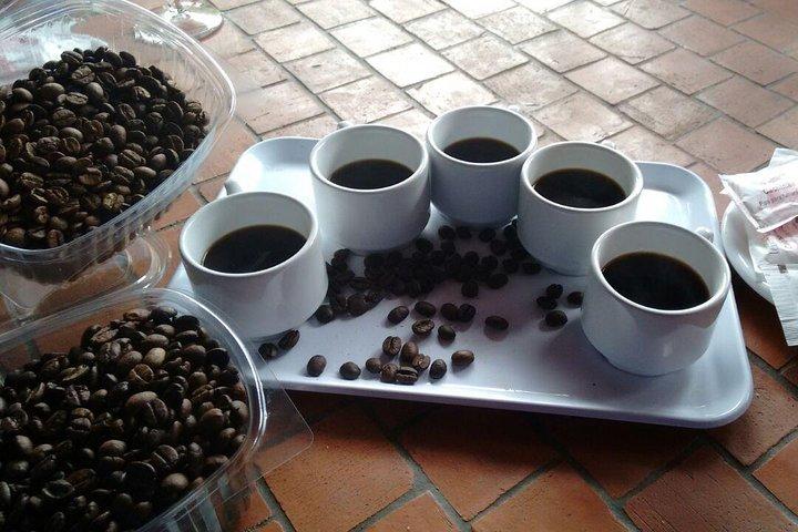 Café et vin: Circuit de la route du nord de la Grande Canarie