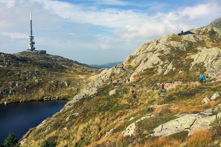 Sea to Summit | Le Dernier Viking