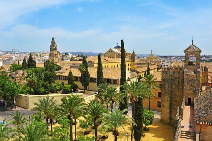 Från Sevilla: Cordoba och moskén-katedralen hoppa över kön