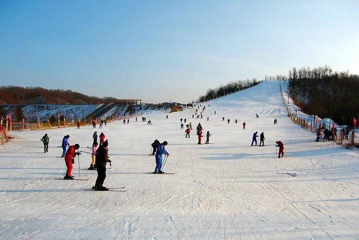 Private Tour to Beginner Skiing Experience Optional Hot Pot Meal