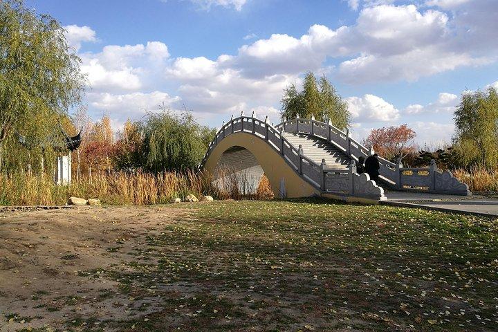 Harbin China's Pavilion Garden e Gogol Street Private Tour con Chunbing Lunch