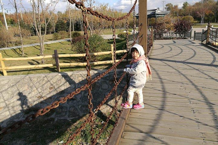 Harbin China's Pavilion Garden e Gogol Street Private Tour con Chunbing Lunch