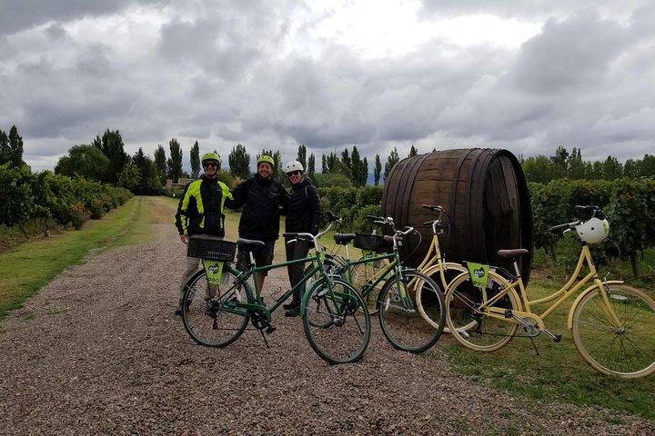 Bici, vini e pranzo a Luján de Cuyo (Mendoza)