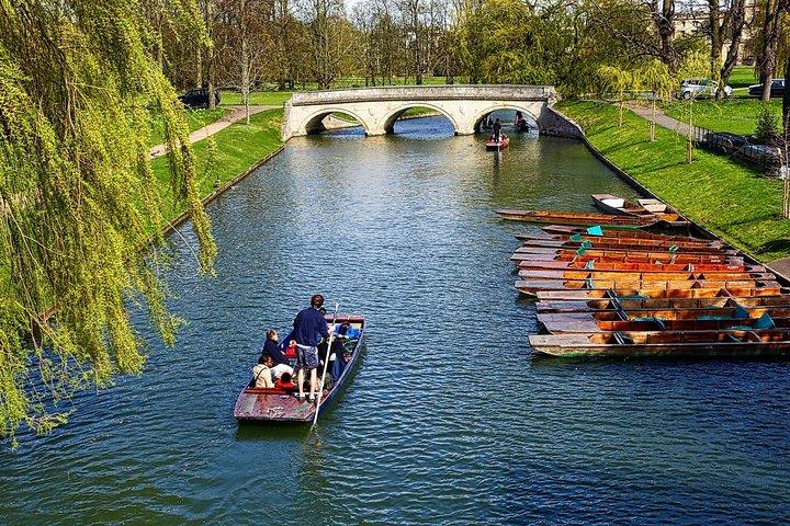Cambridge-Tagesausflug von London mit einem Einheimischen: Privat und individuell