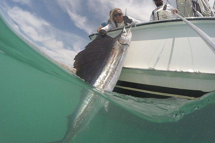 Miami Big Game Hochseeangel-Charter