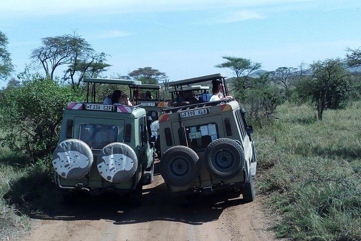 Mikumi nationalpark full dagstur