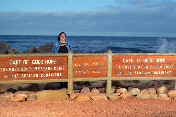 Bedste fra Cape Town privat heldags tur med Taffelbjerget