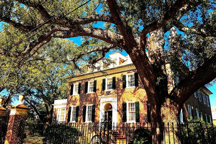 Visita guiada a pie por la historia, las casas y la arquitectura de Charleston