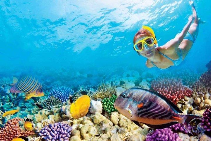 Ganztägige Key West Tour und Korallenriff-Schnorcheln mit offener Bar