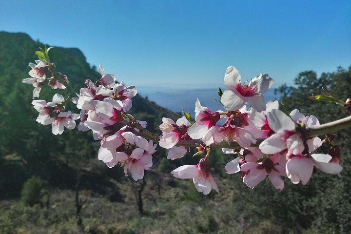 Balade guidée de la Costa Blanca