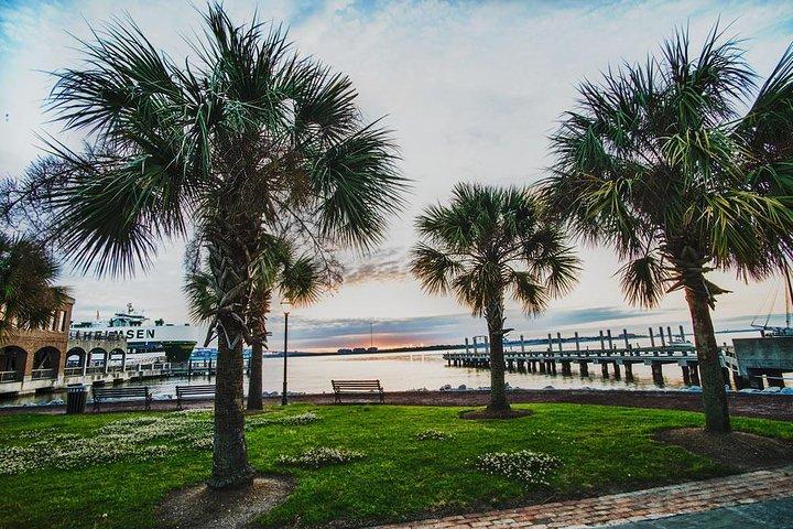 Charleston See-It-All City Bustour mit Abenteuer Sightseeing