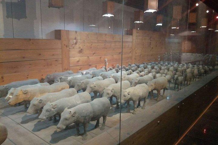 Privater Tagesausflug zu Terrakotta Warriors und Jingdis Tomb