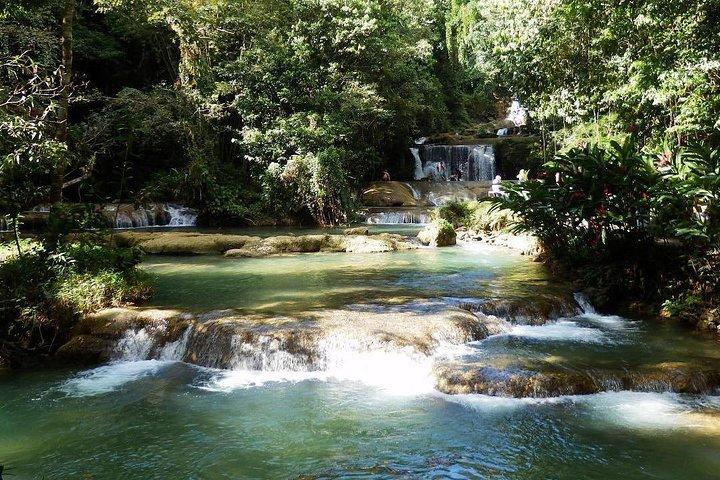 [PRIVAT] YS Falls fra Negril - Indgangsgebyrer + frokost inkluderet