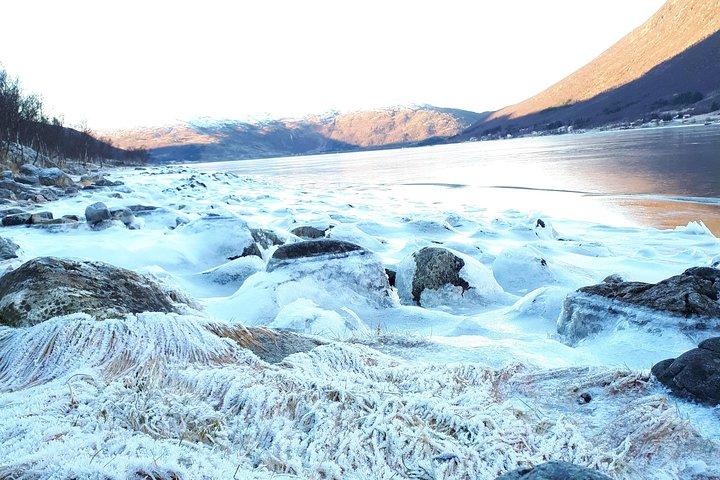 Fjord, bjerge og dyreliv tur