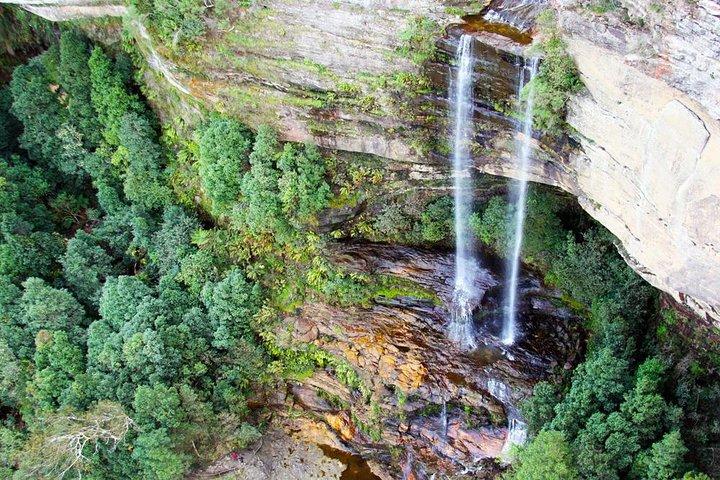 Blue Mountains privétour inclusief wildpark
