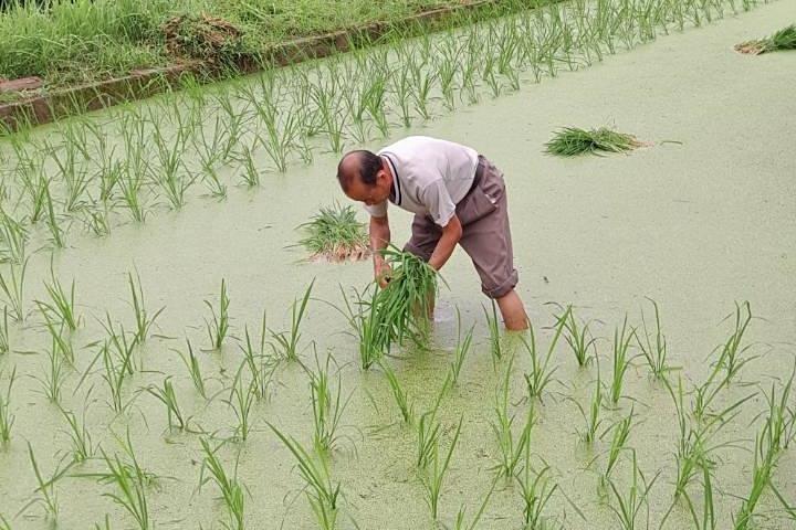 桂林または陽朔からSanjiang Chengyang Dong Villageプライベートデイツアー
