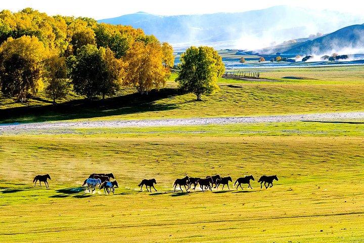 Serviço de transporte privado: 2 dias Wulan Butong Grassland de Pequim