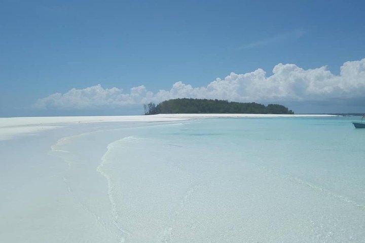 半日Zanzibar Mnemba環礁海洋保護区シュノーケリングツアー