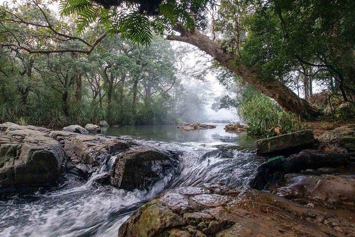 Van Kandy : Watervaltrekking in Knuckles Mountain Range