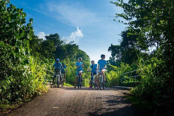 Galle : Dorf und Lagune Private Radtour