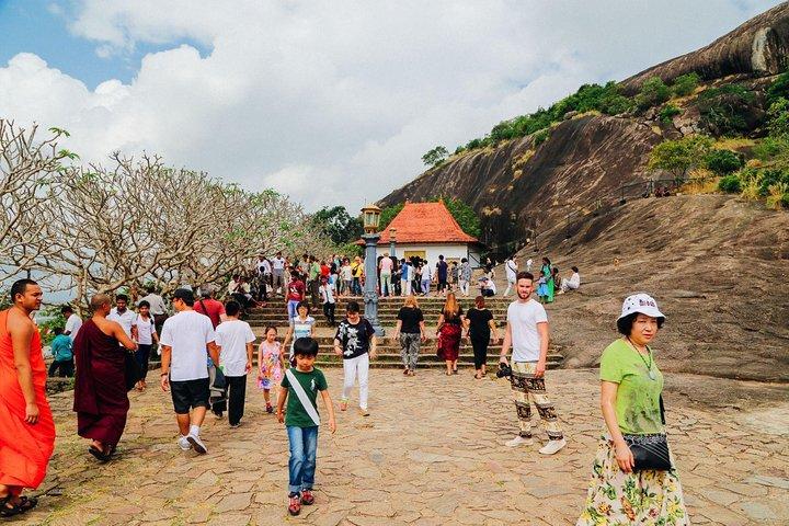 シギリヤ岩とダンブッラ洞窟オールインクルシブプライベート日帰り旅行