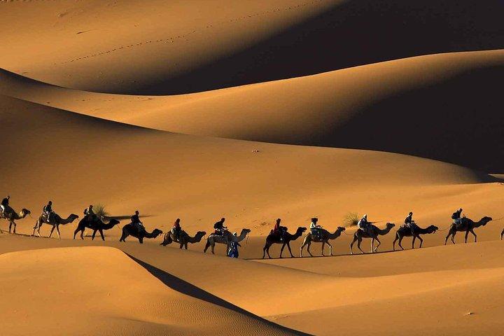 Tour nel deserto di Merzouga da Marrakech e giro in cammello