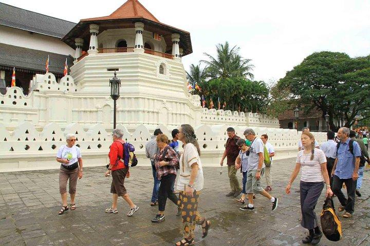 Eksklusivt: Last Kingdom Private Day Tour i Kandy