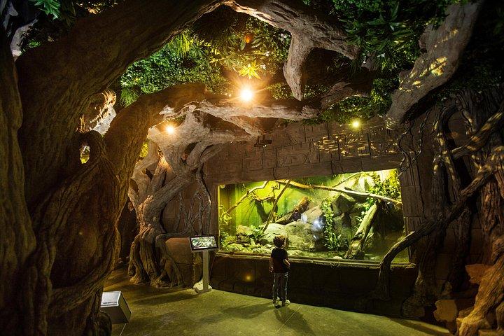 Seville Aquarium Admission Ticket