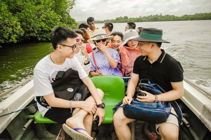 Exclusive: Southern Sri Lanka Sightseeing Private Day Trip