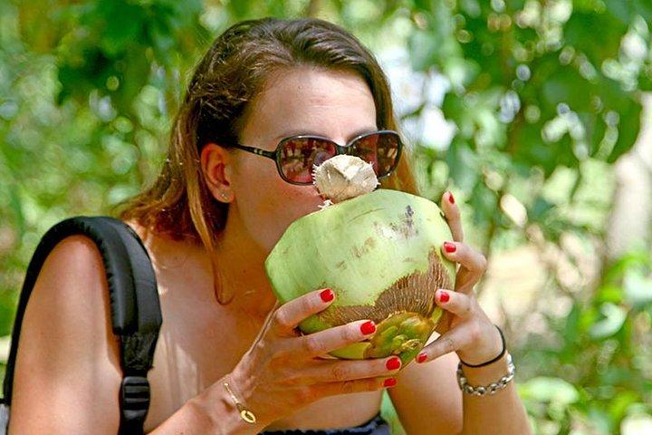 Eksklusivt: Sydlige Sri Lanka Sightseeing Privat Dagstur