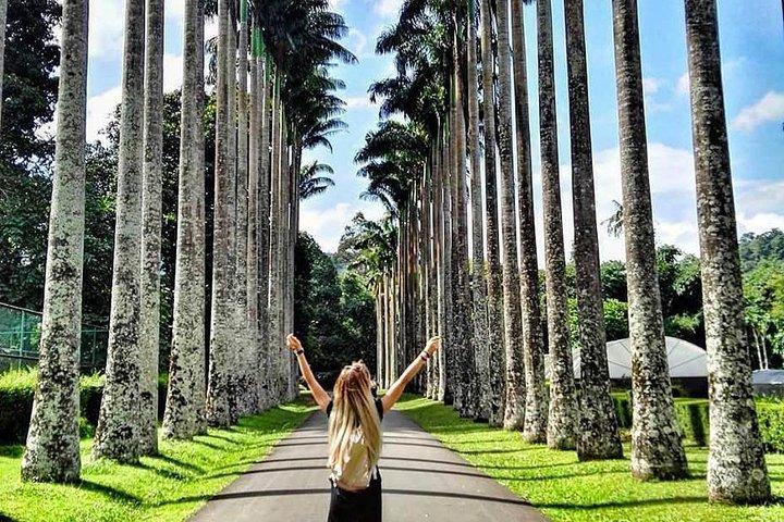 Tour privato di un giorno a Kandy da Colombo