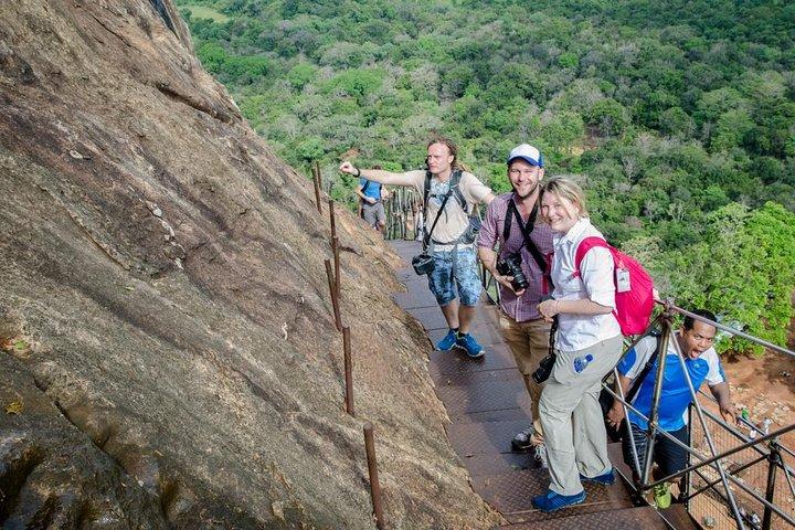 シギリヤ岩とダンブッラ洞窟オールインクルシブプライベート日帰り旅行
