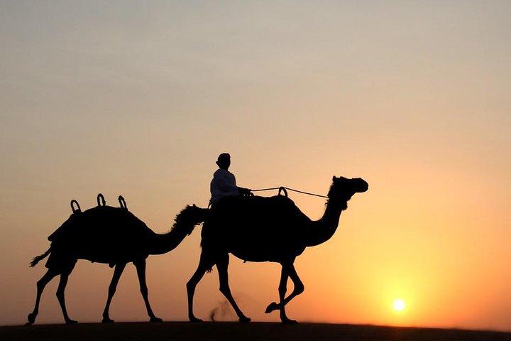 Desert Safari Dubai