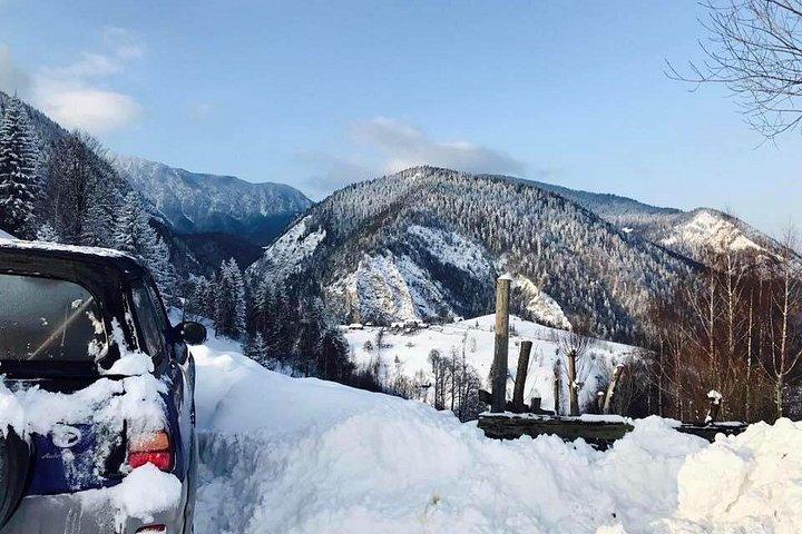 カルパティア山脈とLibeartyヒグマ保護区の古い村