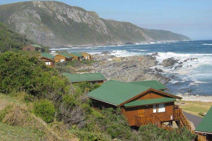 Plaisir et aventure: Surfer sur la célèbre Garden Route - FD10