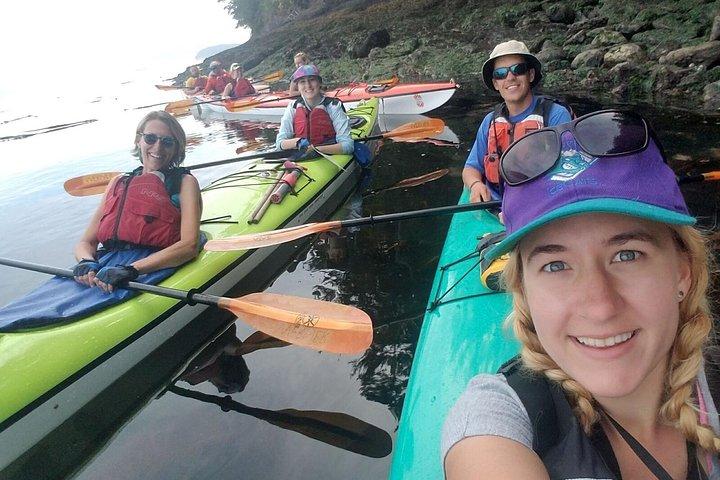 Tour guiado en kayak en la isla de San Juan